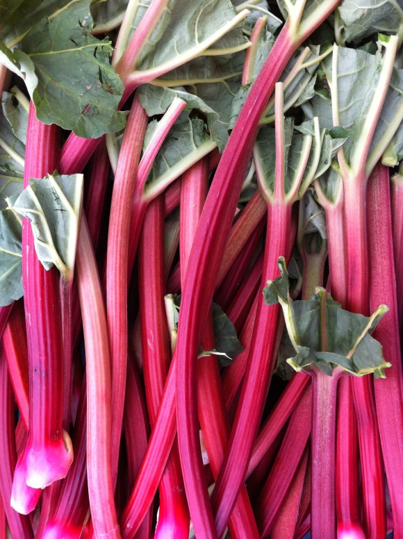 Rhubarb